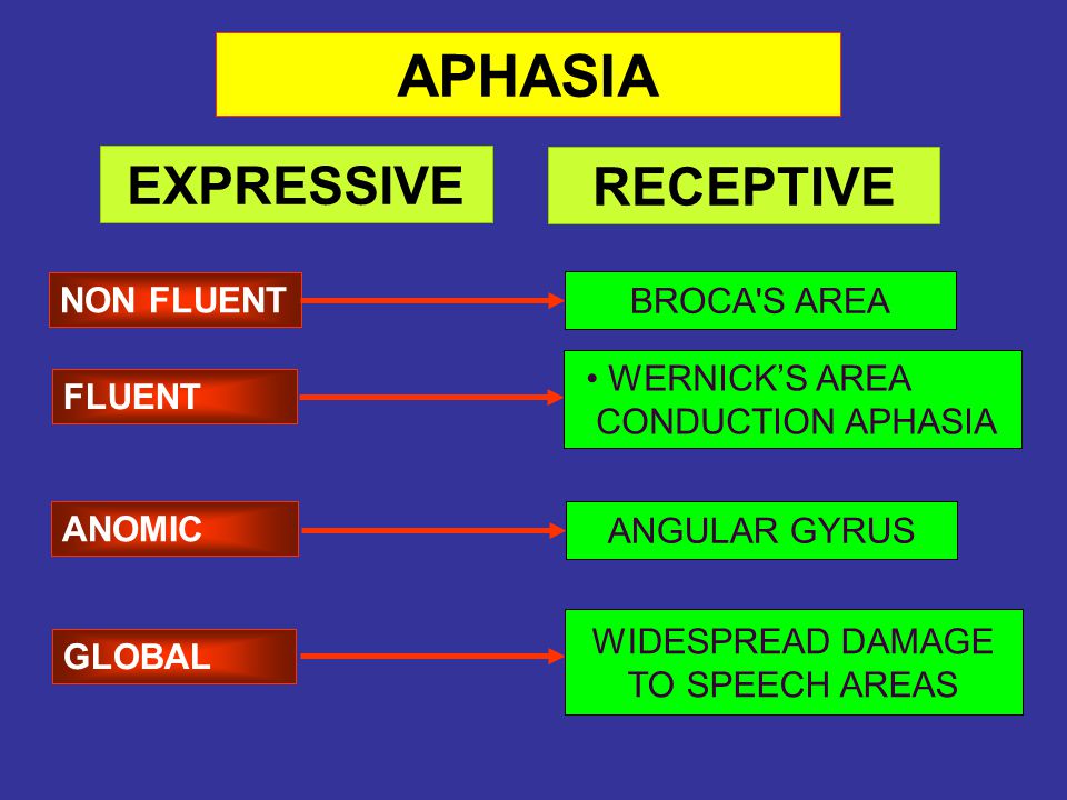 Differences Between Broca's and Wernicke's Aphasia